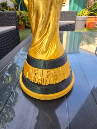 Copa del Mundo FIFA 3D