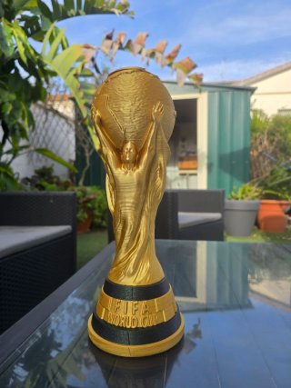 Copa del Mundo FIFA 3D