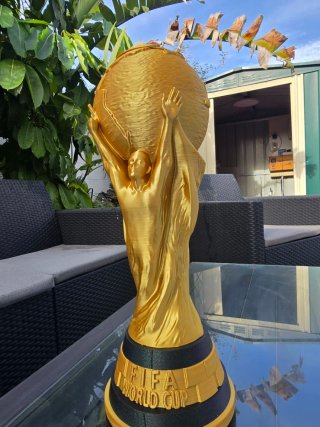 Copa del Mundo FIFA 3D