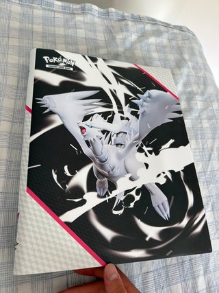 ALBUM CARTE POKEMON ANTICHE, OCCASIONE!