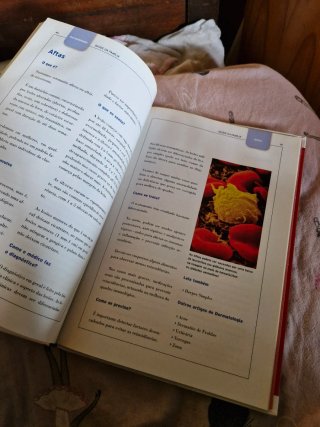 Livro: saude da familia 1