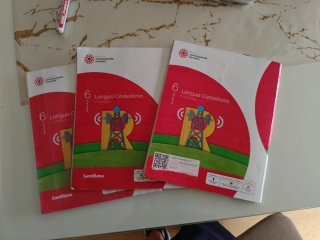 Lengua Castellana, 6 Primaria, Mochila ligera, ...