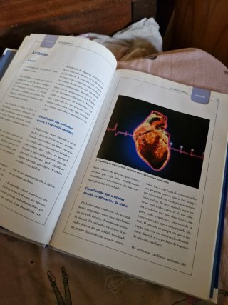 Livro: saude da familia 2