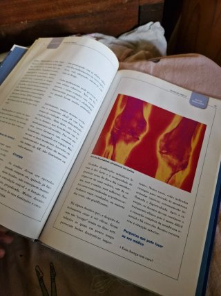 Livro: saude da familia 2