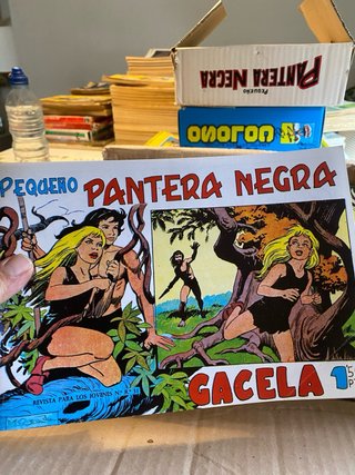 Caja con mas de 150 fascimiles pequeño pantera neg