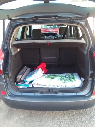 Renault Scenic 2008