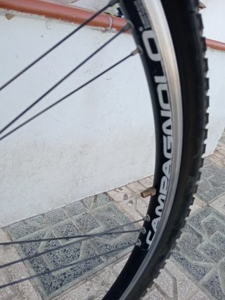 Bicicleta Gravel