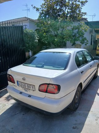 Nissan Primera 2001