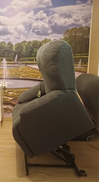 Sillón Cecotec Eléctrico Levanta Personas