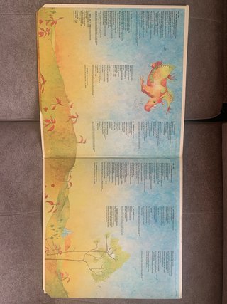 Vinilo Better Times Are Coming/Rhinoceros