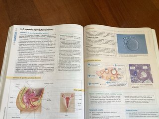 BIOLOXIA E XEOLOXIA 3 (COMUNIDADE EN REDE)