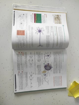 Biología y Geología 3º ESO. Libro del estudiant...