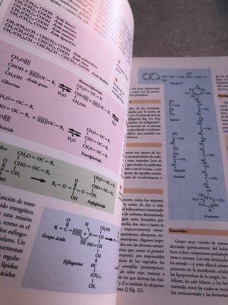 Biología