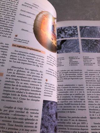 Biología