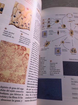 Biología