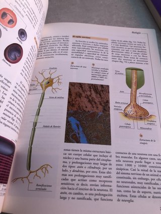 Biología