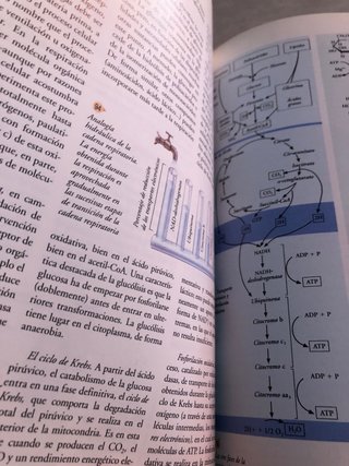 Biología