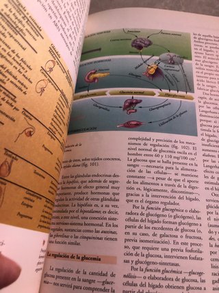Biología