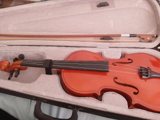 Violín con funda y arco