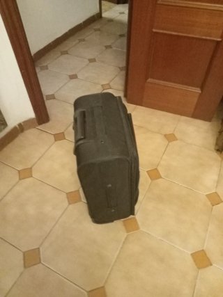 Maleta de viaje negra
