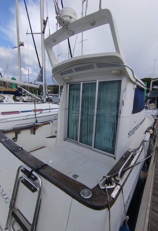 STARFISHER 780 con motor YANMAR