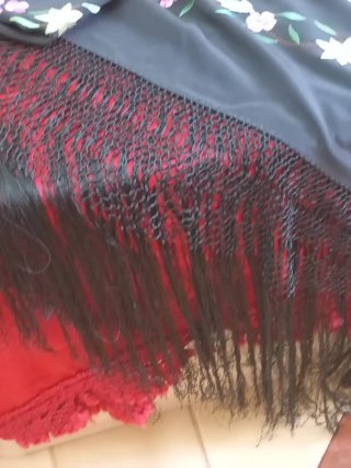 Mantón Manila  de Seda Bordado a Mano