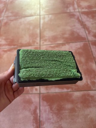 Aspiradora Rowenta XXL Sin Bolsa Roja