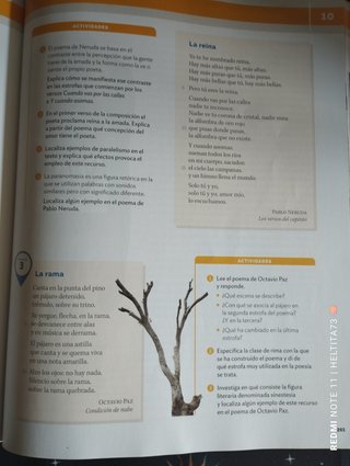 Lengua Castellana y Literatura, 4 ESO