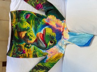 Sudadera Dinosaurio Niño