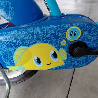 Bicicleta infantil niño/a