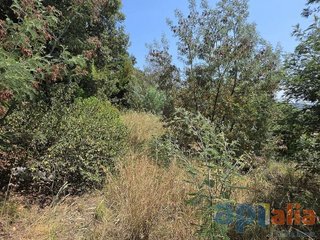 Terreno en venta en Cabanyes-Mas Ambrós-Mas Pallí en Calonge