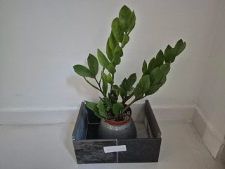 Macetas de silestone,dextony piedra