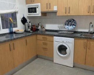 Piso en alquiler en La Goleta - San Felipe Neri en Málaga
