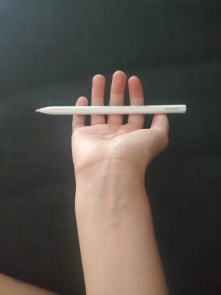 Xiaomi Pad 6 + Xiaomi Smart Pen 2 (punta da cambia