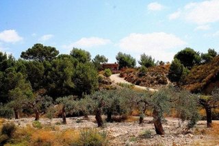 Casa rural en venta en Cañadas de San Pedro en Murcia
