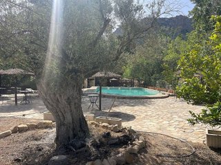 Casa rural en venta en Cañadas de San Pedro en Murcia