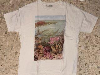 Camisetas Vintage de mujer con diseños.