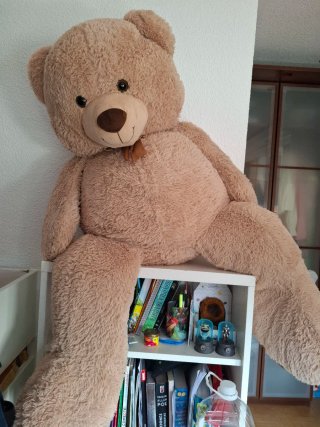 Oso de Peluche grande