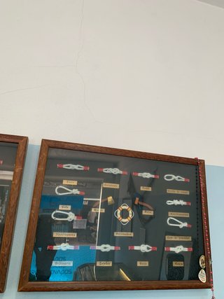 Cuadro de nudos marineros Y pescados