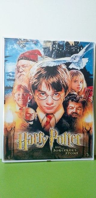 Lienzo película Harry Potter 30x40 con/sin marco