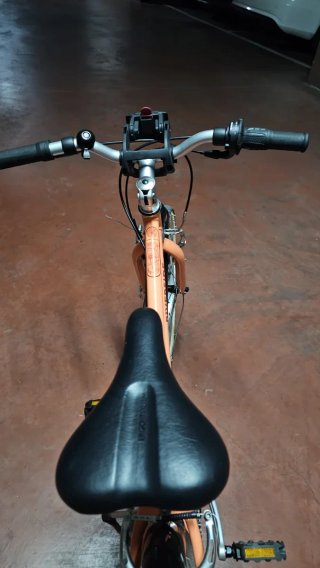 Bicicleta Riverside 500 Naranja