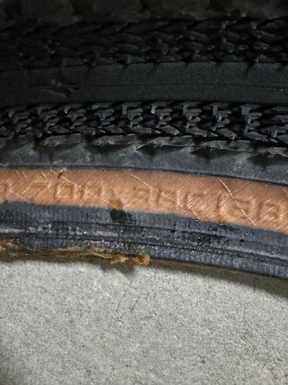 Cubiertas Specialized Pathfinder Pro 38c