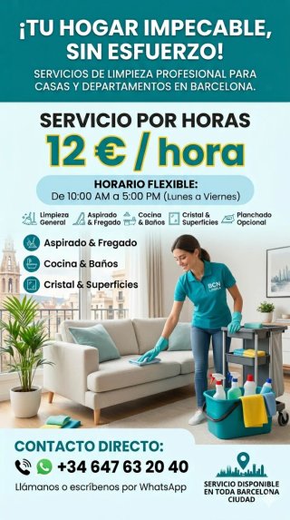 Servicio de limpieza 12€ por hora.