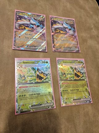 4 Carte Pokémon Raging Bolt EX e Ogerpon EX