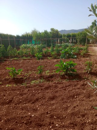 Casa de campo, en Pamis, Ondara