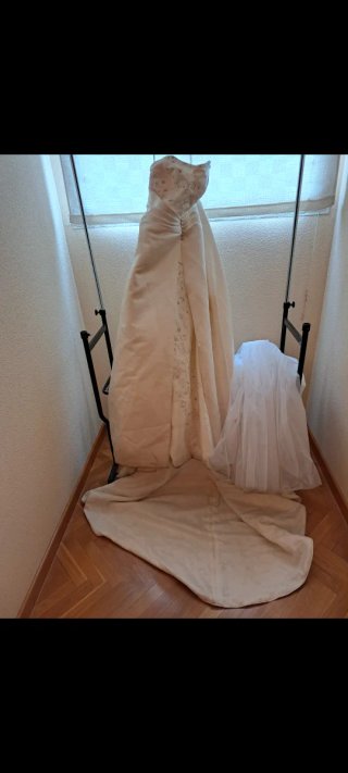 Traje de Novia Beige/Blanco