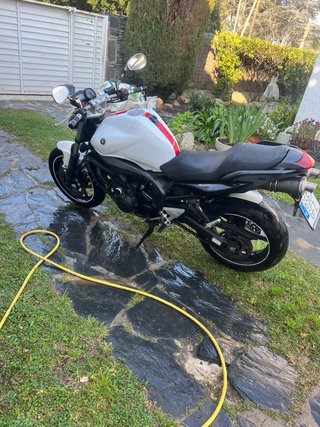 Yamaha FZ6  S2, Naked 600cc 98cv. Escape homo Leo