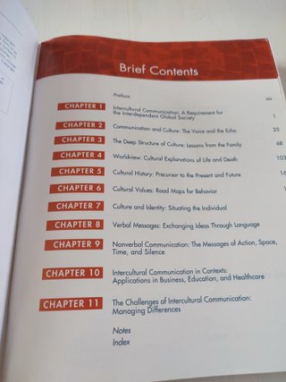 Communication Between Cultures