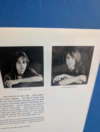 Patti Smith Horses LP Vinilo Nuevo