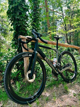 Bicicleta Gravel Canyon Grail CF8 SLX 2025 talla M